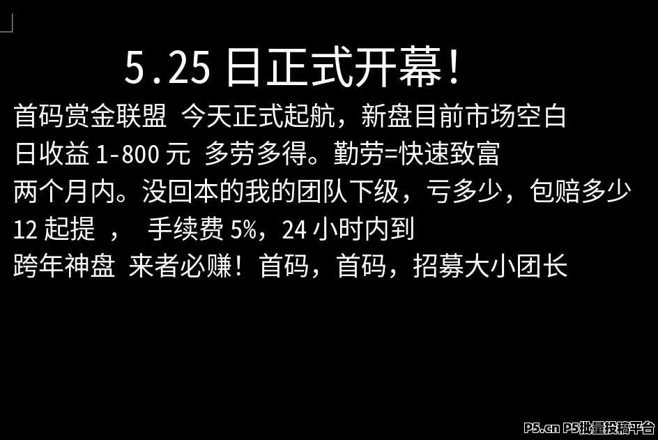 赏金达人，2024最稳项目，最佳上车时机，不容错过！