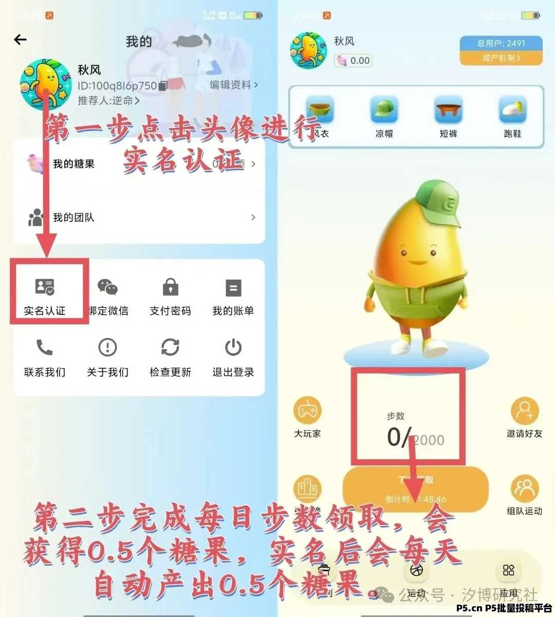 糖果运动首码，全面开放