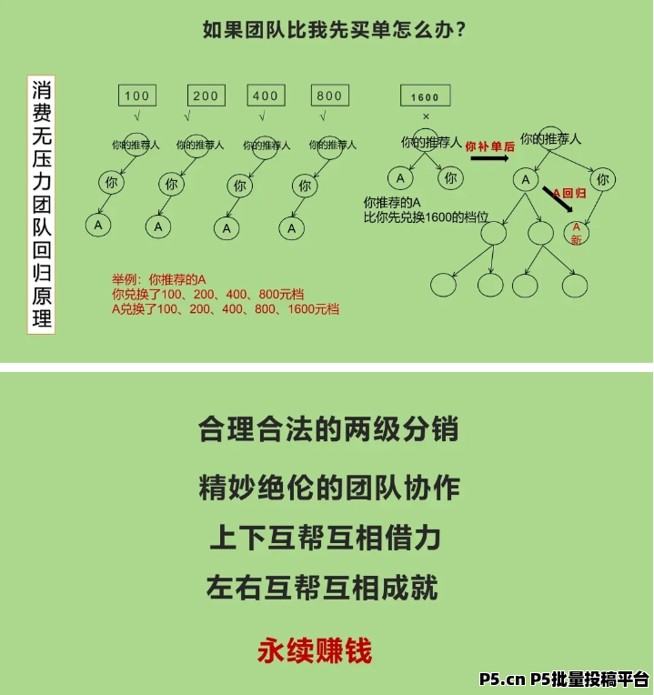 贞观商城全新模式内排中