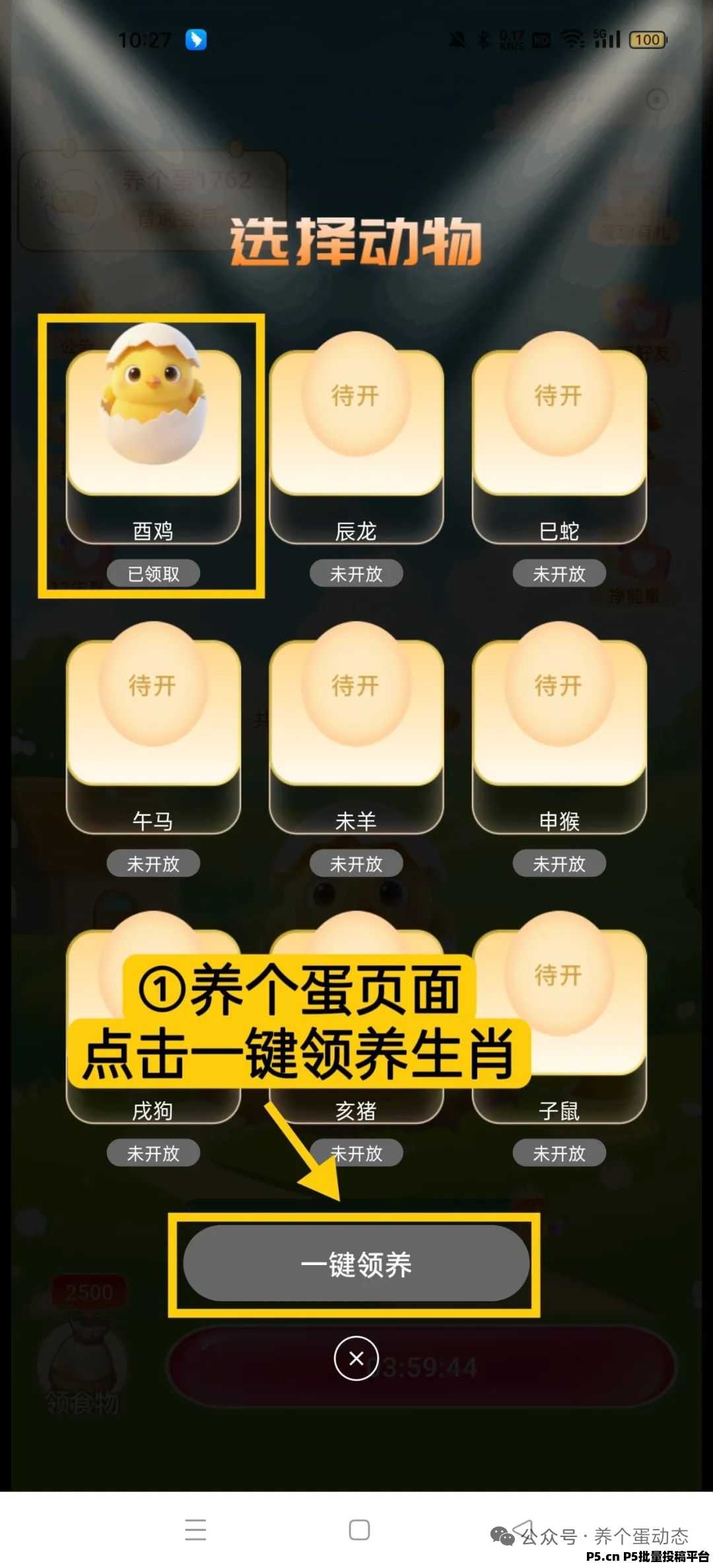 养个蛋最新黑马项目，圈圈加十二生肖养成全新玩法