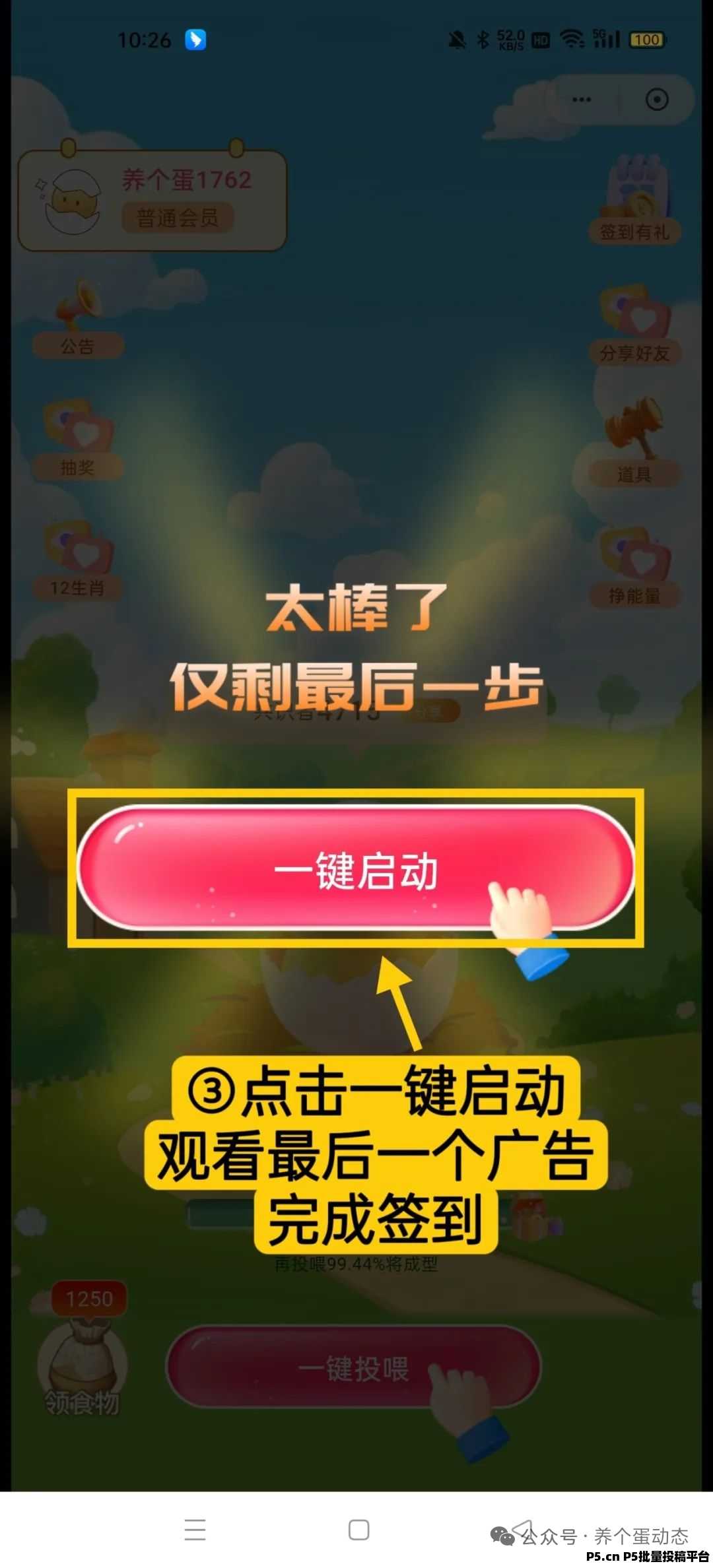 养个蛋最新黑马项目，圈圈加十二生肖养成全新玩法