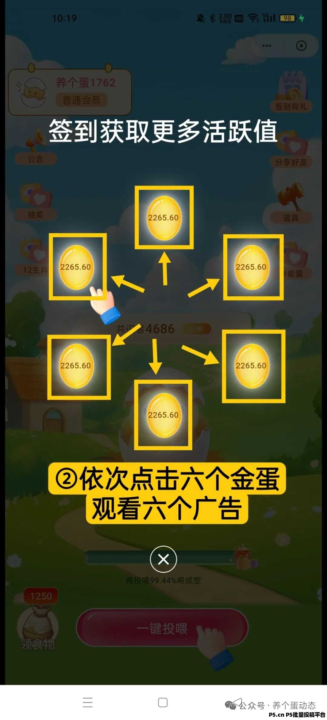 养个蛋最新黑马项目，圈圈加十二生肖养成全新玩法