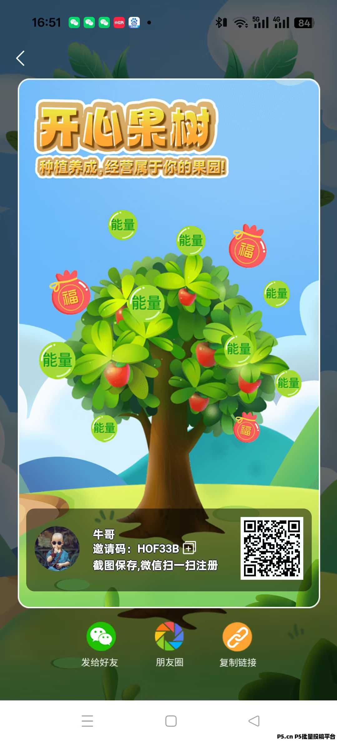 开心果树，刚出，无广告不做任务