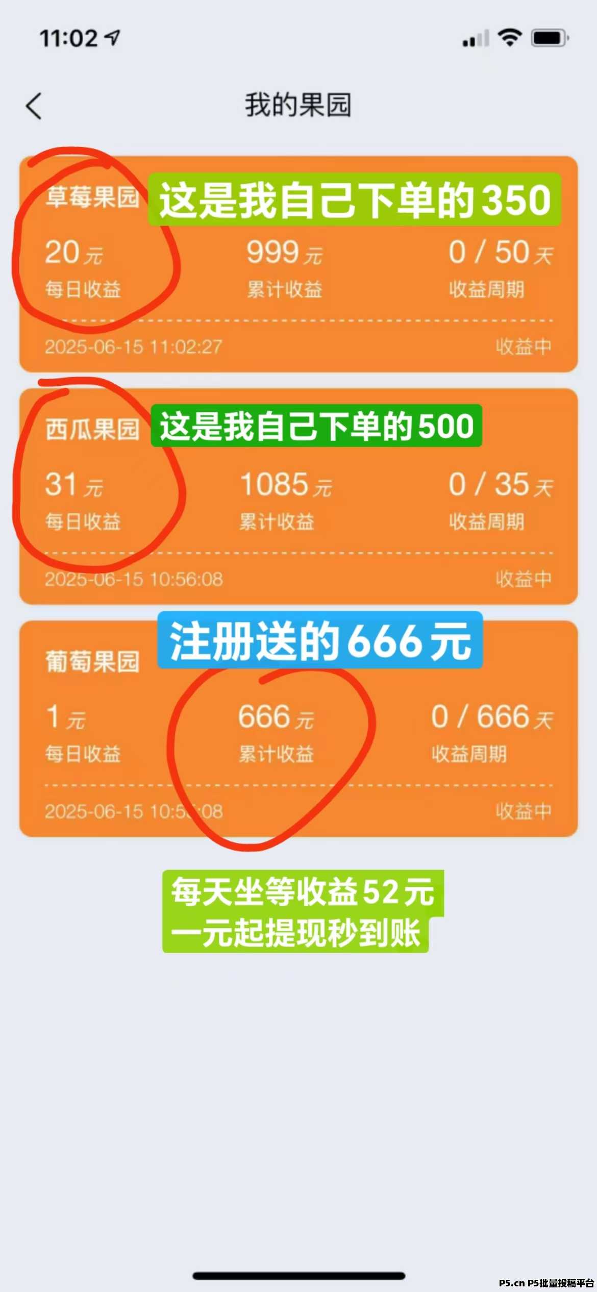 开心果园首码，果实收益，不会减少