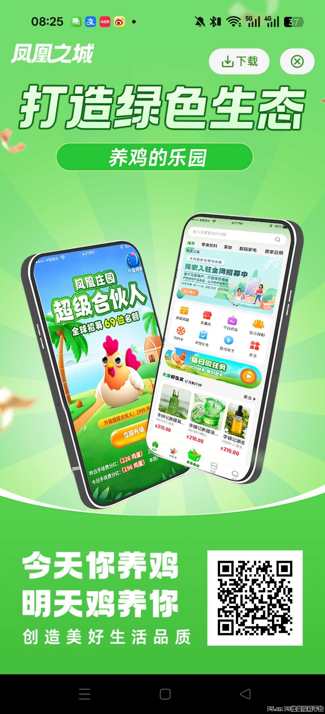 凤凰之城，首码简单易操作