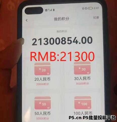 聊天打字员日结