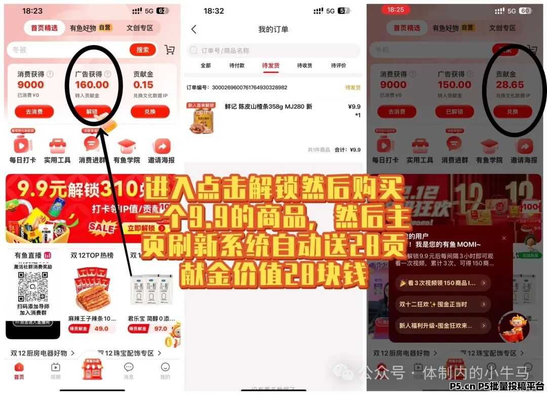 有鱼生活,保姆级教程