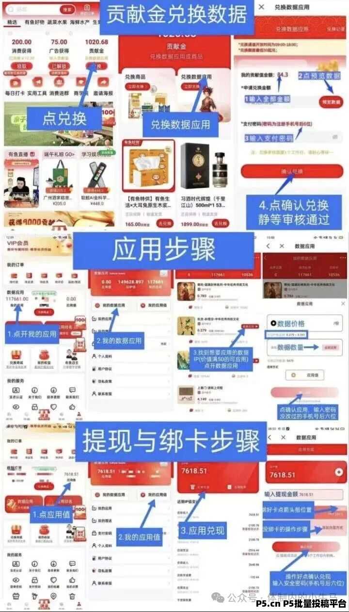 有鱼生活,保姆级教程