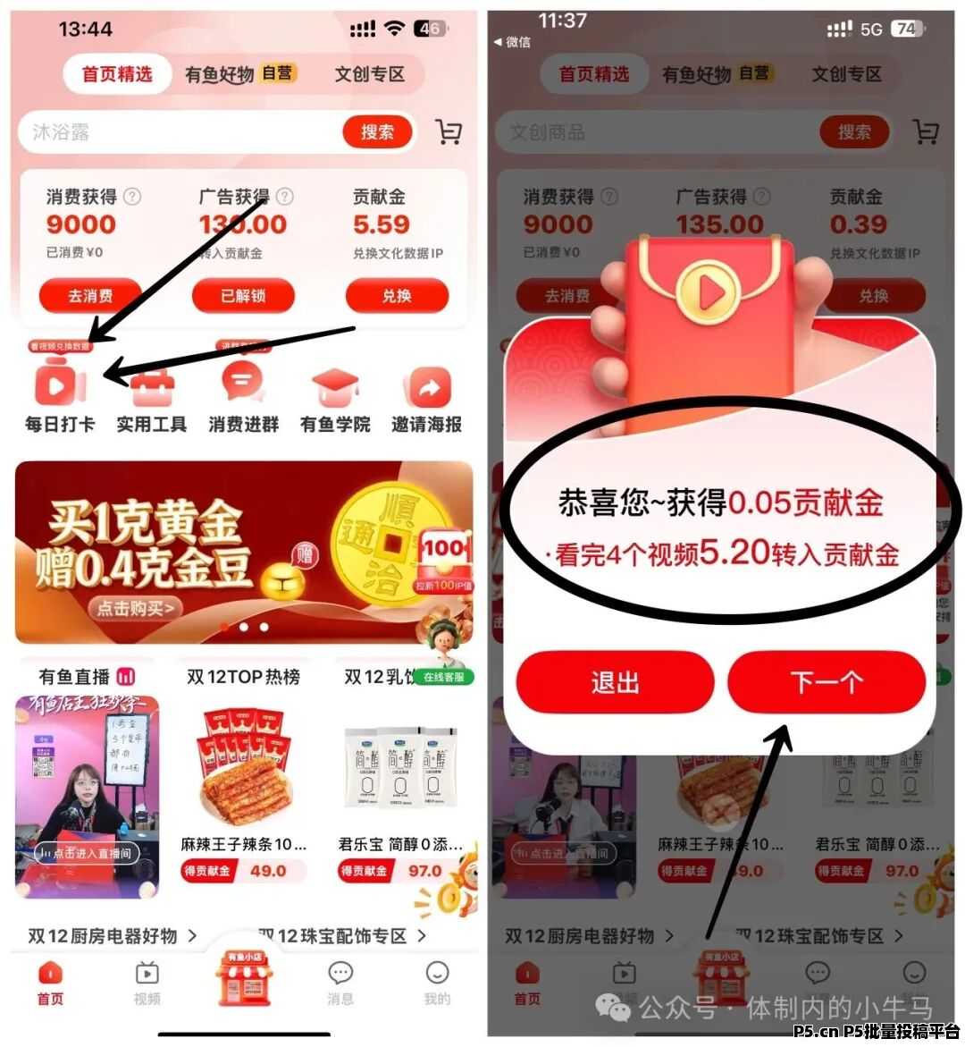 有鱼生活,保姆级教程