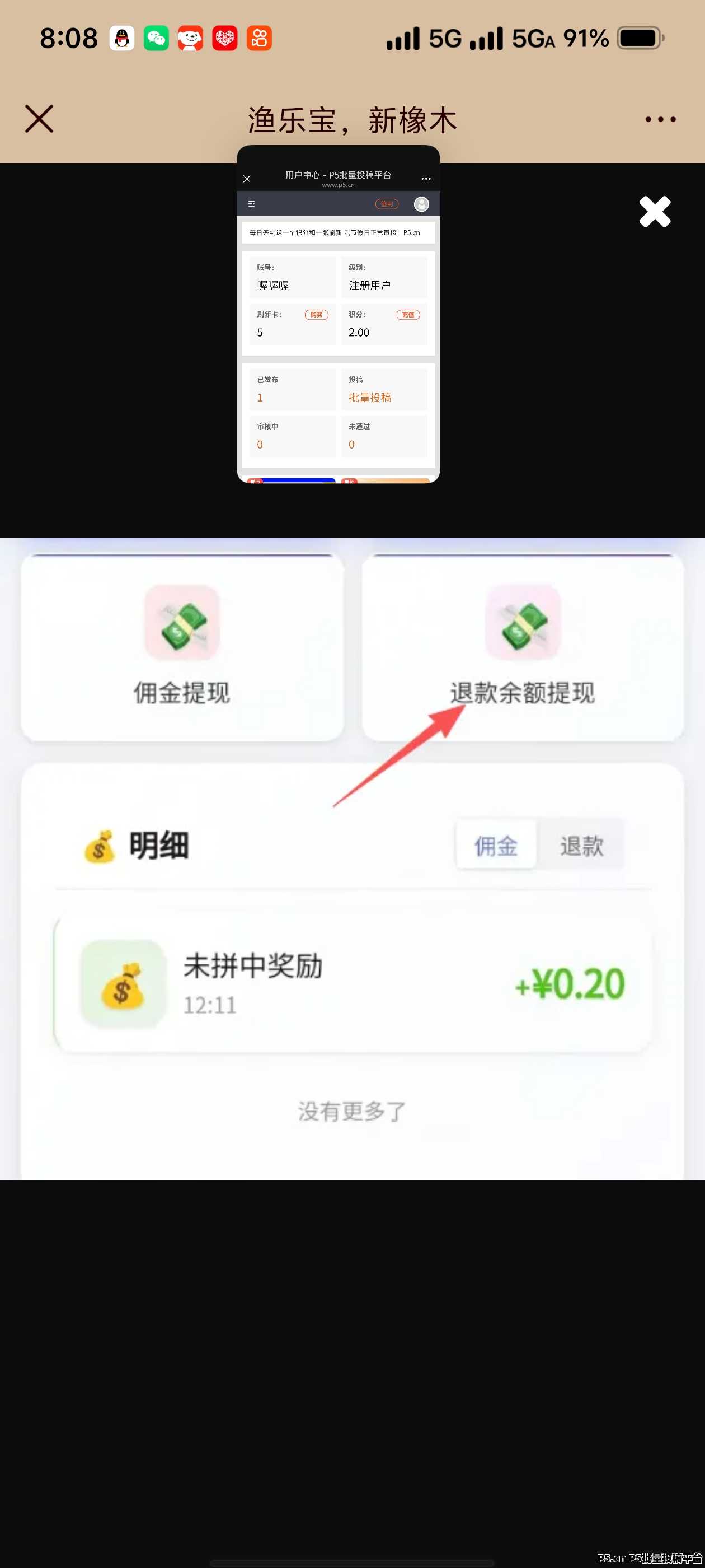 2026年最牛黑马项目,渔乐宝