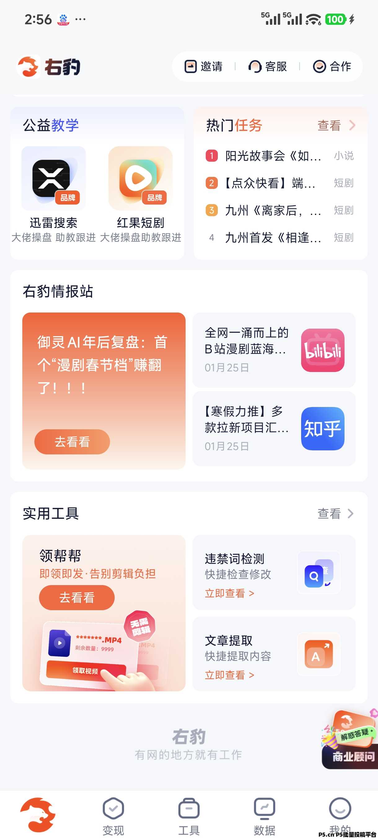 右豹邀请码网盘拉新推广平台